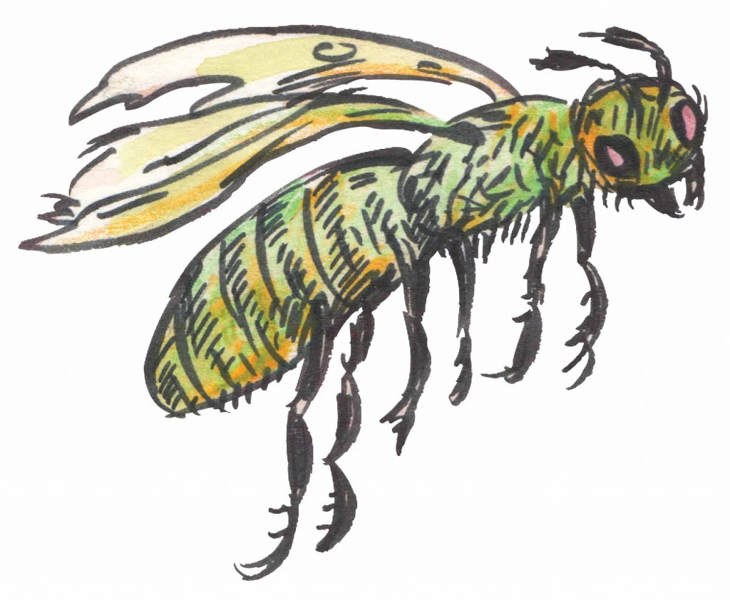 Artistic rendering of a zombie bee